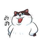 KaowSan Fatcat（個別スタンプ：9）