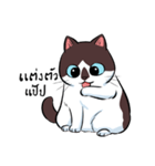 KaowSan Fatcat（個別スタンプ：11）