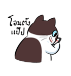 KaowSan Fatcat（個別スタンプ：13）
