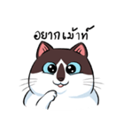 KaowSan Fatcat（個別スタンプ：14）