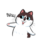 KaowSan Fatcat（個別スタンプ：15）