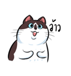 KaowSan Fatcat（個別スタンプ：16）
