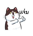 KaowSan Fatcat（個別スタンプ：17）