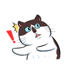KaowSan Fatcat（個別スタンプ：18）