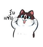KaowSan Fatcat（個別スタンプ：19）