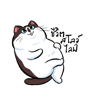 KaowSan Fatcat（個別スタンプ：20）