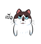 KaowSan Fatcat（個別スタンプ：21）