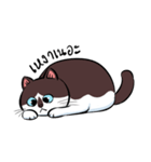 KaowSan Fatcat（個別スタンプ：22）
