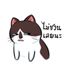 KaowSan Fatcat（個別スタンプ：23）