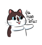 KaowSan Fatcat（個別スタンプ：24）