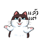 KaowSan Fatcat（個別スタンプ：25）