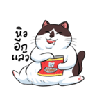 KaowSan Fatcat（個別スタンプ：26）