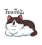 KaowSan Fatcat（個別スタンプ：27）