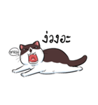 KaowSan Fatcat（個別スタンプ：28）