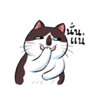 KaowSan Fatcat（個別スタンプ：29）