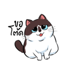 KaowSan Fatcat（個別スタンプ：33）