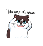 KaowSan Fatcat（個別スタンプ：34）