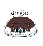KaowSan Fatcat（個別スタンプ：35）