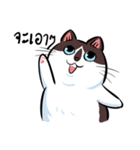 KaowSan Fatcat（個別スタンプ：36）