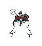 KaowSan Fatcat（個別スタンプ：37）