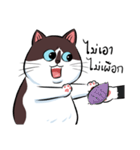 KaowSan Fatcat（個別スタンプ：40）