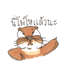 The naughty otters speak Thai（個別スタンプ：9）