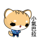 Sunny Day Shiba Inu (Expect)（個別スタンプ：29）