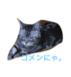 RAIN（個別スタンプ：3）