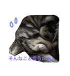 RAIN（個別スタンプ：4）