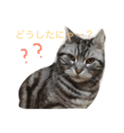 RAIN（個別スタンプ：6）