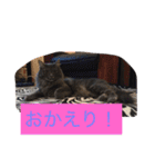 グレー猫ヨーダちゃん（個別スタンプ：21）
