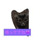 グレー猫ヨーダちゃん（個別スタンプ：29）