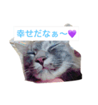 グレー猫ヨーダちゃん（個別スタンプ：35）