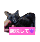 グレー猫ヨーダちゃん（個別スタンプ：36）