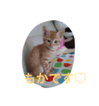 yuri-thingふぁみりー（個別スタンプ：7）