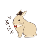 蝶ネクタイうさぎ（個別スタンプ：1）