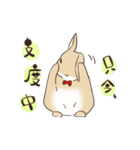 蝶ネクタイうさぎ（個別スタンプ：15）