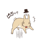 蝶ネクタイうさぎ（個別スタンプ：22）