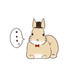 蝶ネクタイうさぎ（個別スタンプ：25）