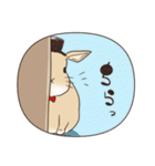 蝶ネクタイうさぎ（個別スタンプ：28）