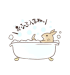 蝶ネクタイうさぎ（個別スタンプ：31）