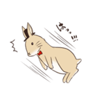 蝶ネクタイうさぎ（個別スタンプ：32）