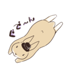 蝶ネクタイうさぎ（個別スタンプ：33）
