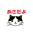 日常会話でつかえるネコ（個別スタンプ：2）