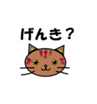 日常会話でつかえるネコ（個別スタンプ：3）