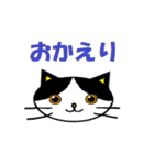 日常会話でつかえるネコ（個別スタンプ：8）
