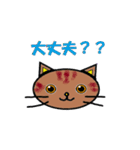 日常会話でつかえるネコ（個別スタンプ：18）