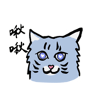 Mandarin Tabby（個別スタンプ：3）