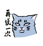 Mandarin Tabby（個別スタンプ：5）