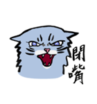 Mandarin Tabby（個別スタンプ：6）